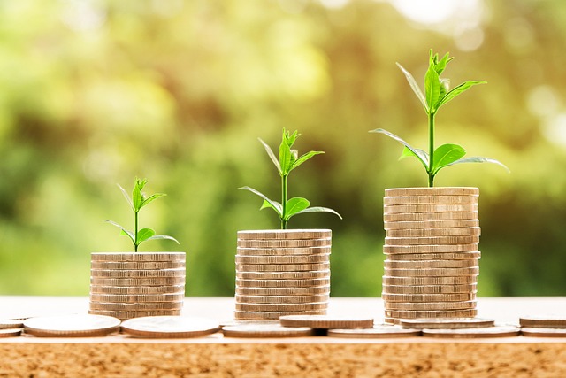 Three stacks of coins with small green plants growing on top